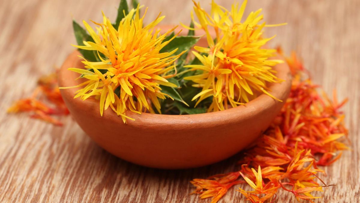 Krokosz barwierski to roślina z rodziny astrowatych, która znajduje zastosowanie w fitoterapii i kosmetyce.