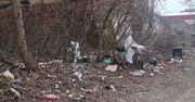 Łódź: Sterty śmieci na targowisku Dolna Ceglana