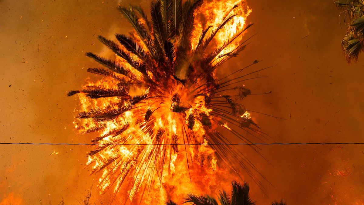 Pożary w Los Angeles. Ekspertka o możliwych scenariuszach