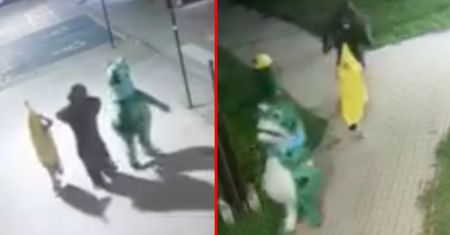 Żaba, goryl i banan poszli na spacer. Nietypowe nagranie z Włodawy