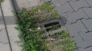 Dwie firmy chcą zająć się kanalizacją deszczową w Legnicy