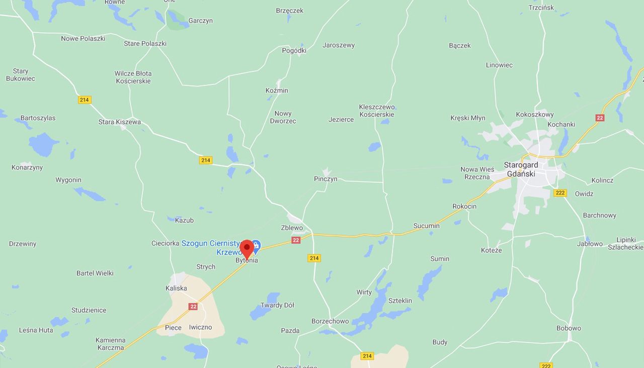 Pomorskie. Śmiertelny wypadek na dk 22. Samochód uderzył w drzewo