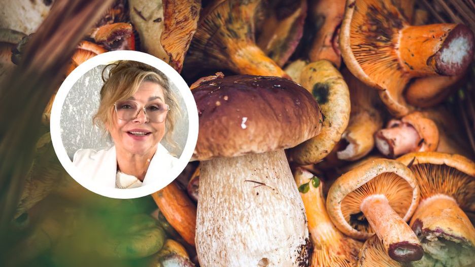 Najzdrowsze grzyby w polskich lasach. Podczas zbiorów koniecznie wypatruj tych gatunków