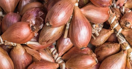 Obniża cholesterol, zbija wysoki cukier. Szukaj w spożywczaku obok cebuli