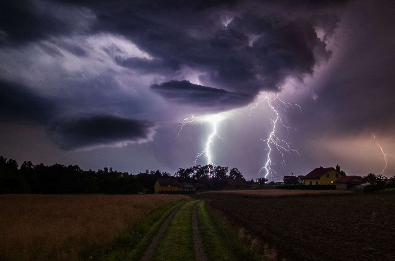 Monika Homan: Opowiedz o swoich początkach. Skąd pomysł na fotografowanie?