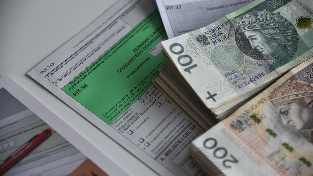 Kogo sprawdza skarbówka?