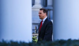 Sikorski na nowym stanowisku? "Nie mogę odpowiedzieć"