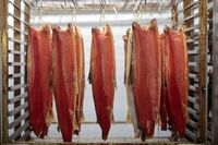 UK Business Relocates For Olympics 2012
Fillets of salmon are seen hanging on racks at H. Forman & Son's new factory on Fish Island, close to the London 2012 Olympic Park site in London, U.K., on Monday, March 12, 2012. Forman's original factory, built in 2003, was demolished to accommodate the 80,000-seat, white-steel framed Olympic Stadium. Photographer: Jason Alden/Bloomberg via Getty Images
Bloomberg
BUSINESS, ECONOMY, EMEA, EURO, EUROPE, FINANCE, MONEY, TRADE, ZLINSELL