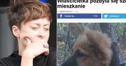 Portal porównał dręczenie szczeniaka do... aborcji Przybysz! "Ona też miała za małe mieszkanie"