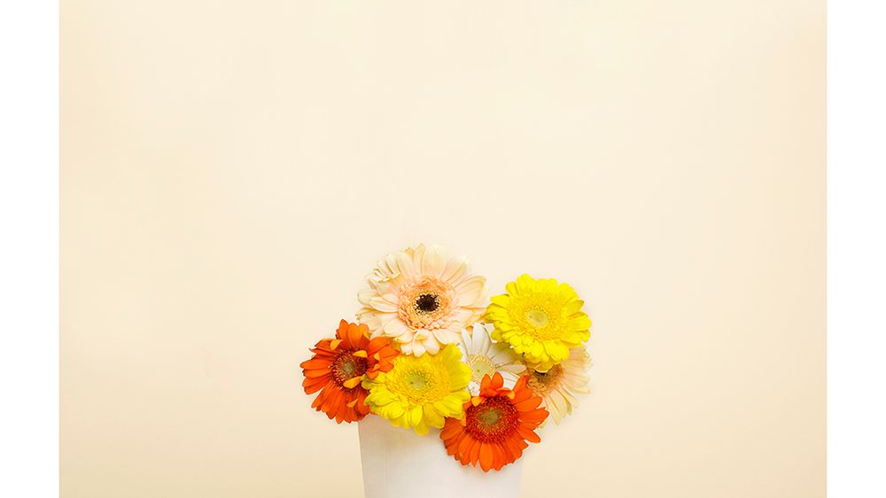 Metafora i niedopowiedzenia w projekcie Almost Seriously Mai Piotrowskiej i Mariusza Urbańskiego 1