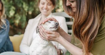Pies się frustruje? Sama obecność opiekuna może mu pomóc