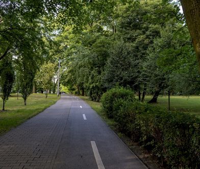 Bytom. Nowe oświetlenie, ma być bezpieczniej i taniej