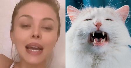 Joanna Opozda odpowiada kociej kawiarni po odpowiedzi na swoją opowieść: "Chciałabym, żeby tak wyglądały MOJE DRAMATY"