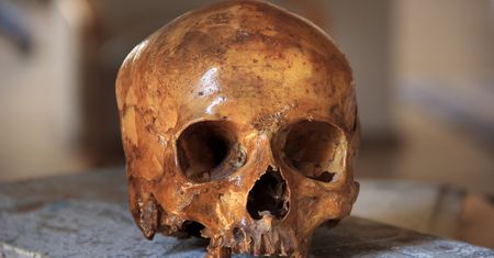 Ludobójstwo w Rwandzie odcisnęło ślad na ocalałych. Naukowcy zbadali ich DNA