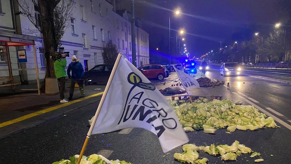 Protest rolników. Agrounia zostawiła na ulicy jedzenie i martwą świnię