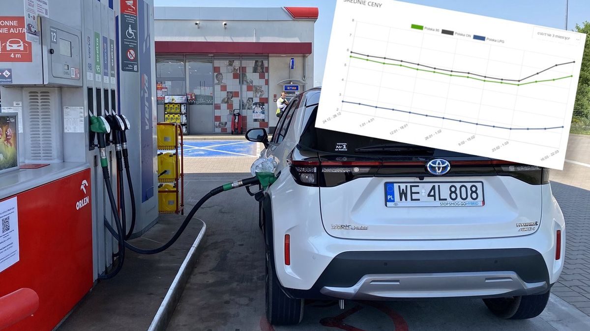 Ceny paliw mocno wzrosły