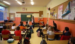 Wiceminister edukacji o prawach zwierząt. "Takie pojęcie nie istnieje"