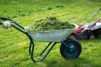 Uważaj po skoszeniu trawy. Przyłapany zapłaci mandat