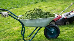 Nawet 500 zł kary. Kogo przyłapią po koszeniu, ten zapłaci