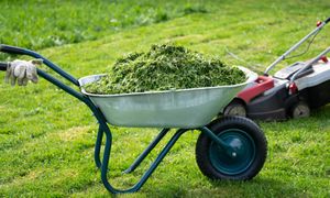 Uważaj po skoszeniu trawy. Przyłapany zapłaci mandat