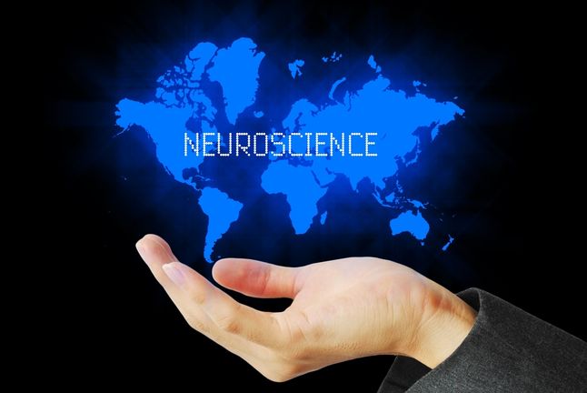 Hand Touch Neuroscience Technology