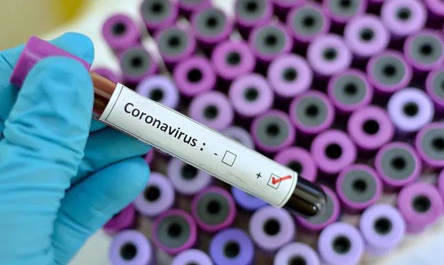 Das Coronavirus - die Landkarte. Polen und die Welt