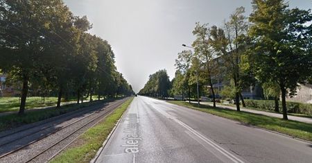 Z dnia na dzień wycięli dziesiątki drzew. "Kto za to odpowiada?"