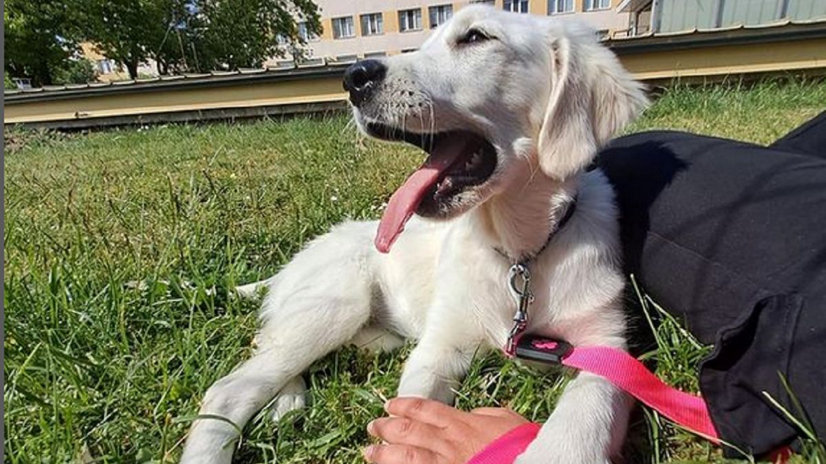 Luna skradła serca pracowników i pacjentów szpitala