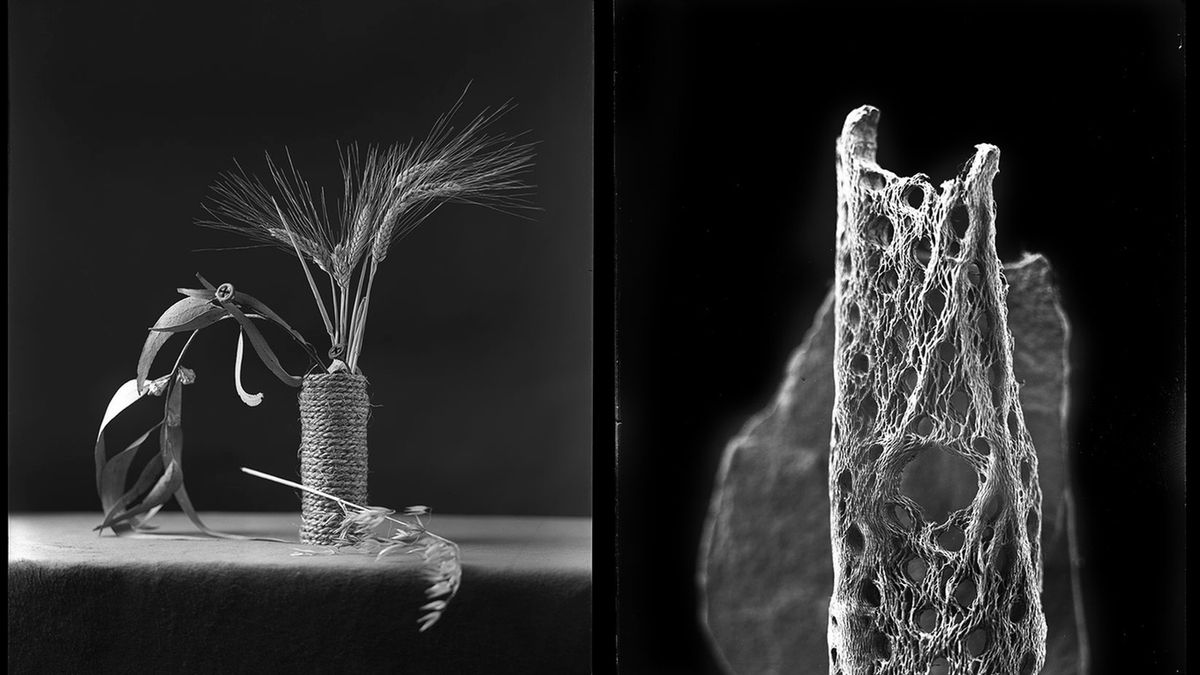 Czy technika suchej płyty powróci do łask dzięki Galaxy? 1