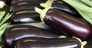 Bakłażan - kaloryczność, wartości i składniki odżywcze, właściwości