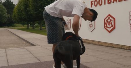 Klub trzymał to w sekrecie. Trener zażądał "transferu" psa