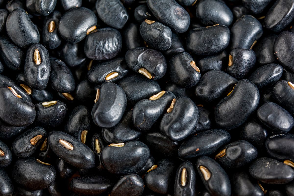 Czarna fasola stanowi bogate źródło dobrze przyswajalnego białka