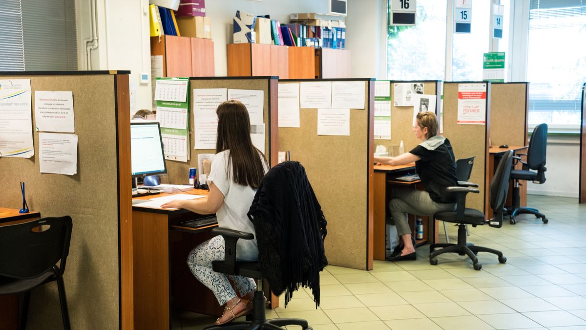 Przeciętne wynagrodzenie mężczyzn na koniec 2018 roku było o 19,9 proc. wyższe od przeciętnego wynagrodzenia kobiet.