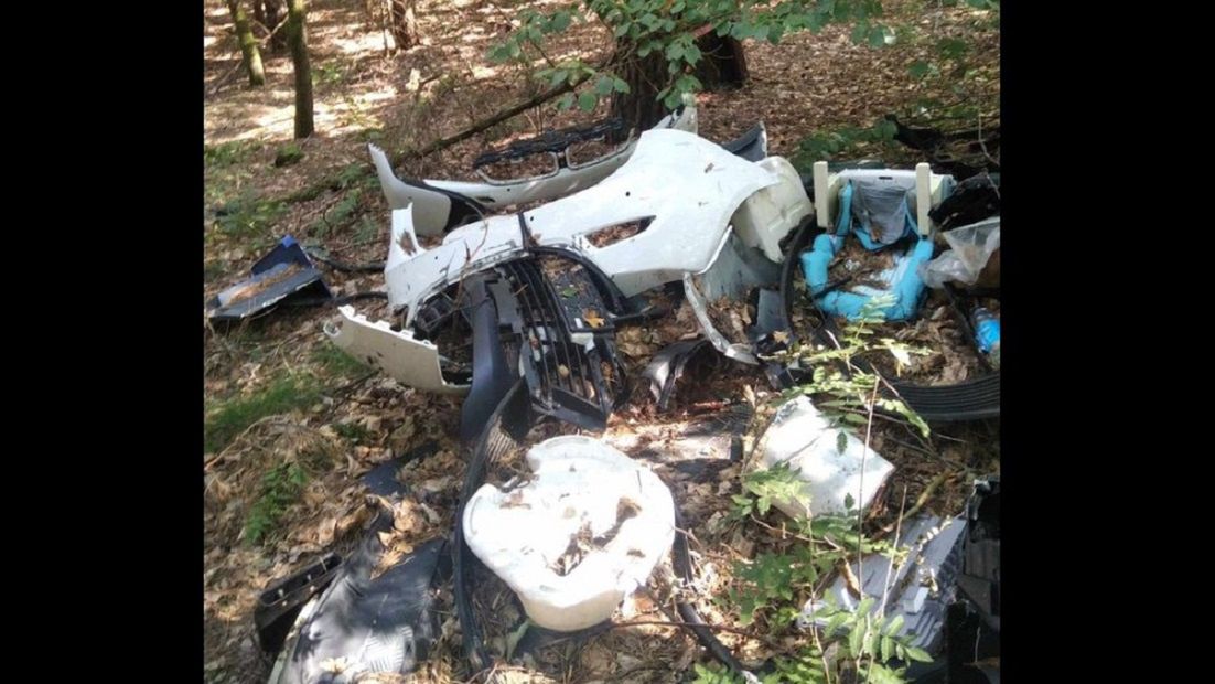 Szokujący widok w lesie. 