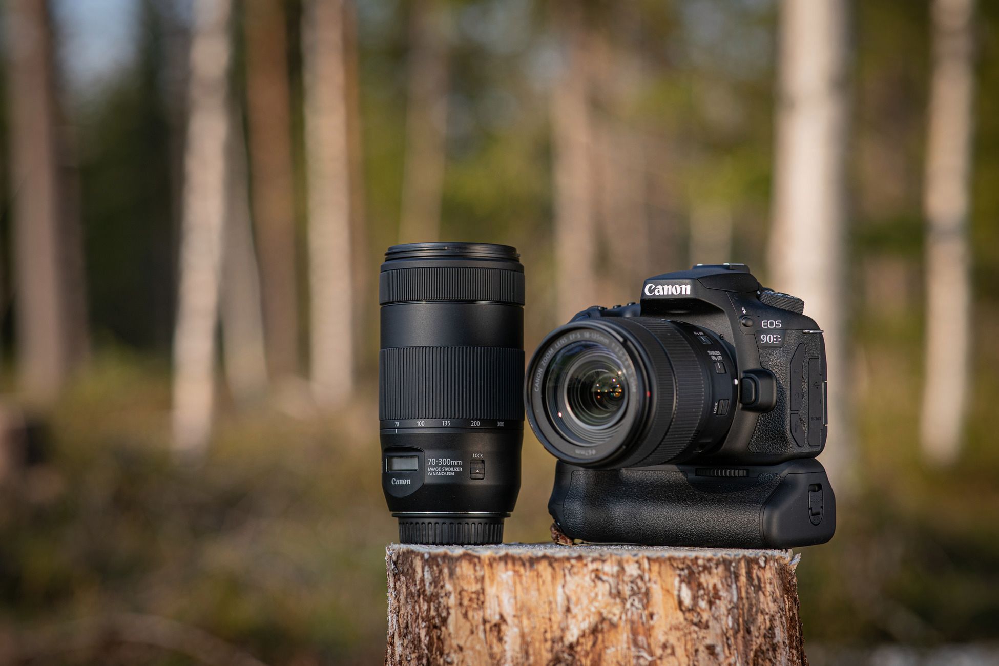 Canon EOS 90D i Canon EOS M6 Mark II to najciekawsze korpusy Canona od lat 17