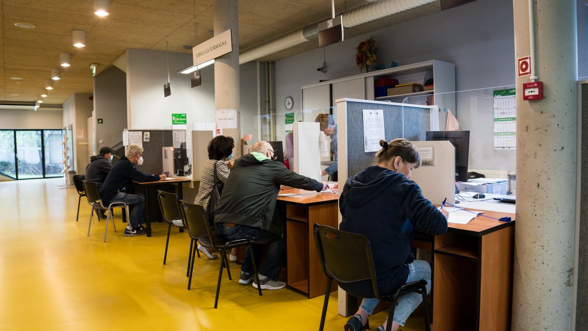 urząd pracy praca bezrobocie oferty pracy bezrobotni kolejka