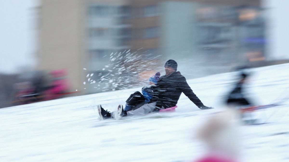 sanki gdzie kupić ile kosztują