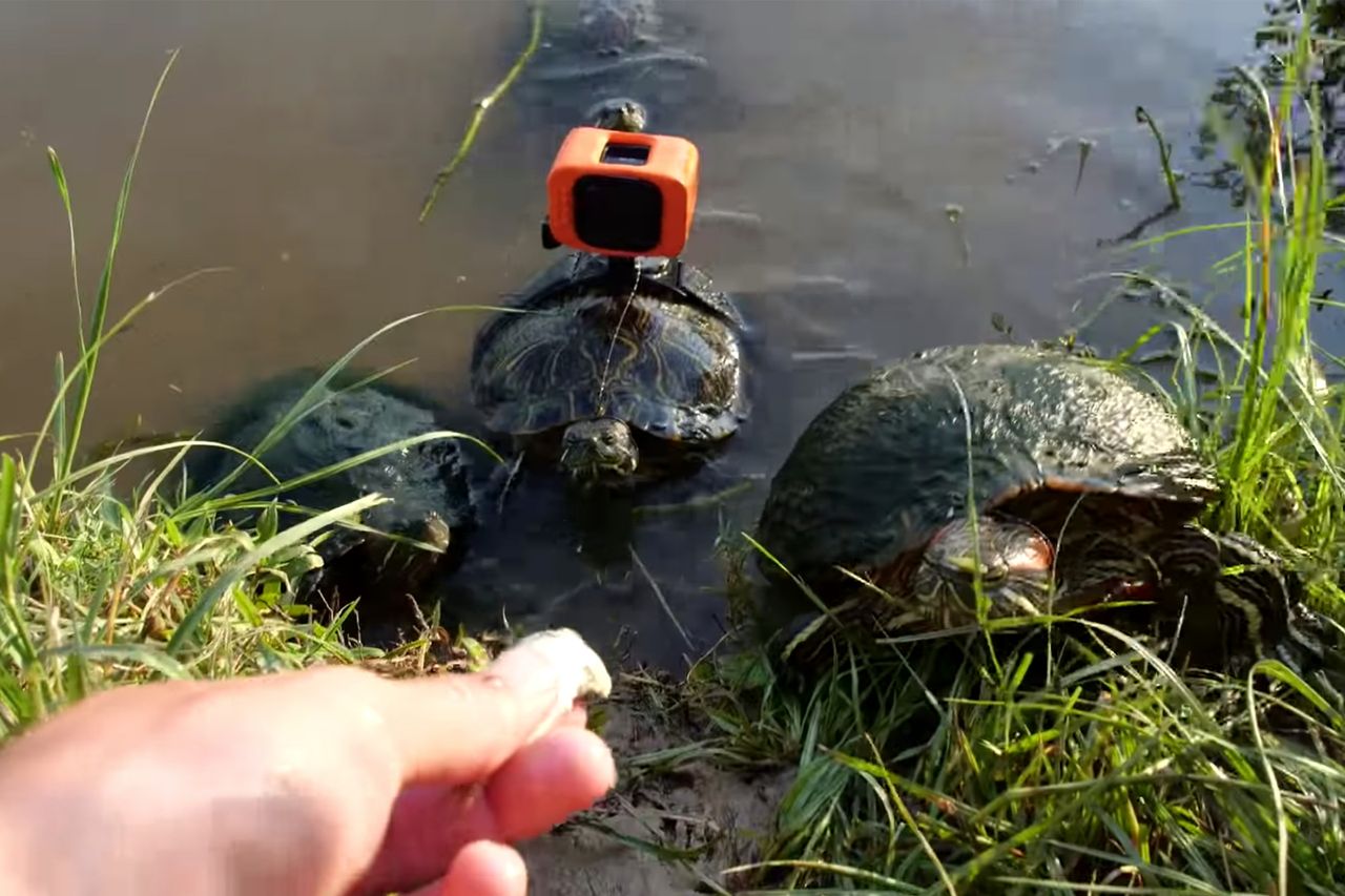 Filmowanie GoPro w żółwim tempie wcale nie jest takie wolne