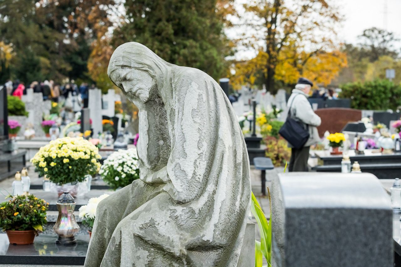 Wyszukiwarka grobów online. Jak znaleźć grób w pięć minut?