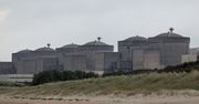 Francuska elektrownia atomowa zamknięta. Powodem są meduzy