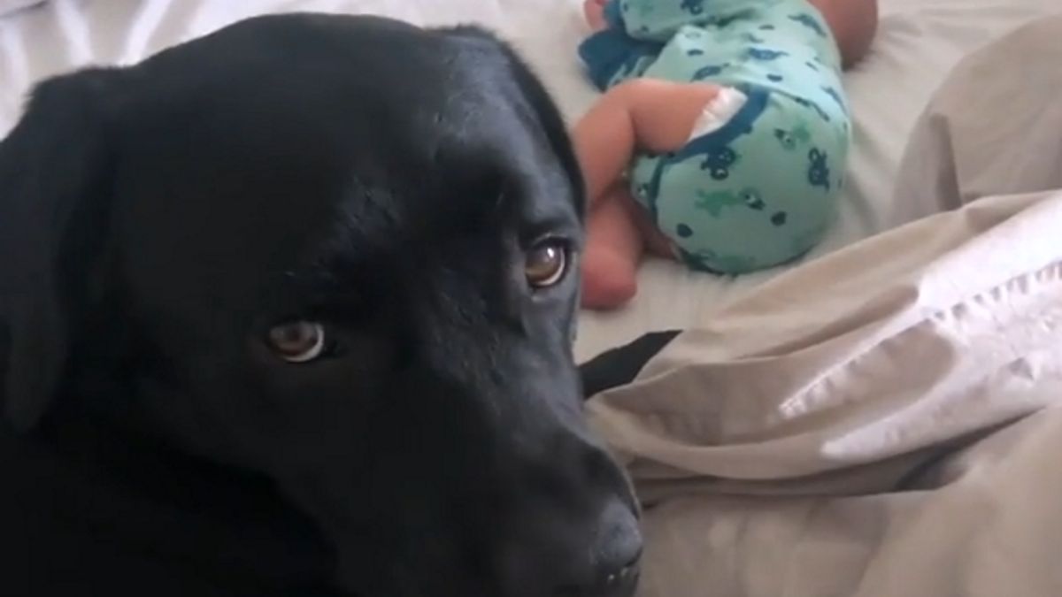 Maleńki Ted ze swoim czworonożnym przyjacielem Elvisem