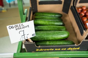 "100 ton ogórka do utylizacji". Rolnicy wyrzucają zbiory