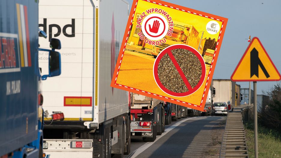 Zatrzymano ponad 5 ton bazylii z Egiptu