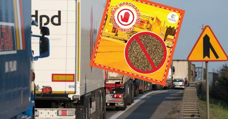 Przyprawy z Egiptu zatrzymane. Gigantyczna ilość z nieprawidłowościami