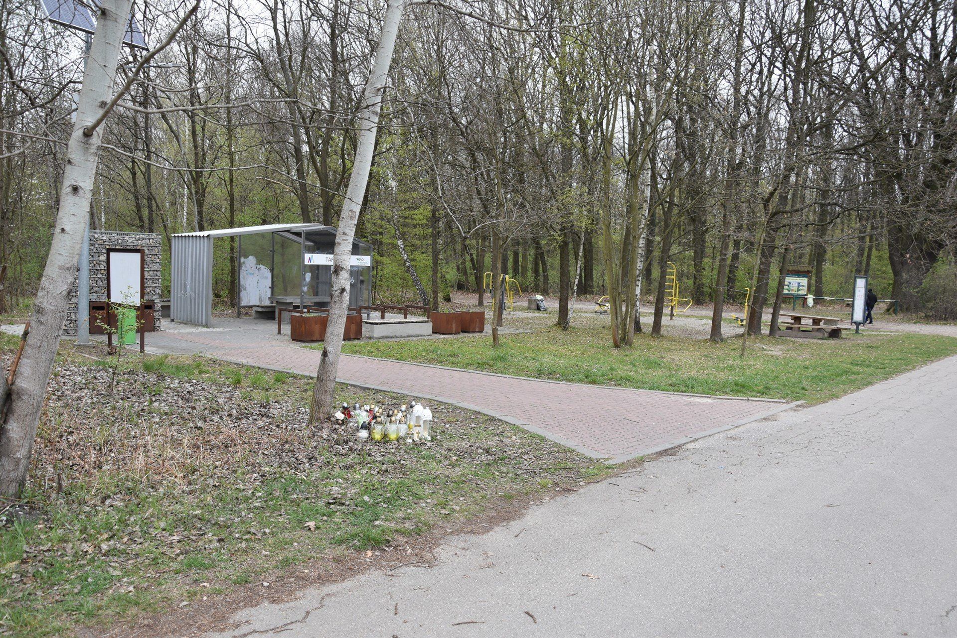 Do tragedii doszło w kwietniu tego roku w tarnowskim Lasku Lipie.
