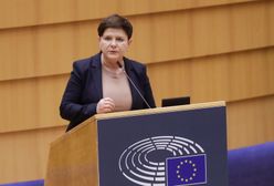 Szydło o Merkel. Polityk PO zdziwiony. Dobitna reakcja