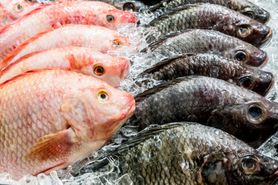 Najchudsze gatunki ryb. Zdrowe i bardzo smaczne