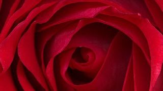 Insomnia - bezsenne WiFi w iPhonie 1