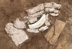 Niezwykłe znalezisko smoka. Ma ponad pięć tysięcy lat