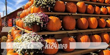 Gnojno: Gminny Festiwal Dyni. Jesienne smaki i rodzinne atrakcje